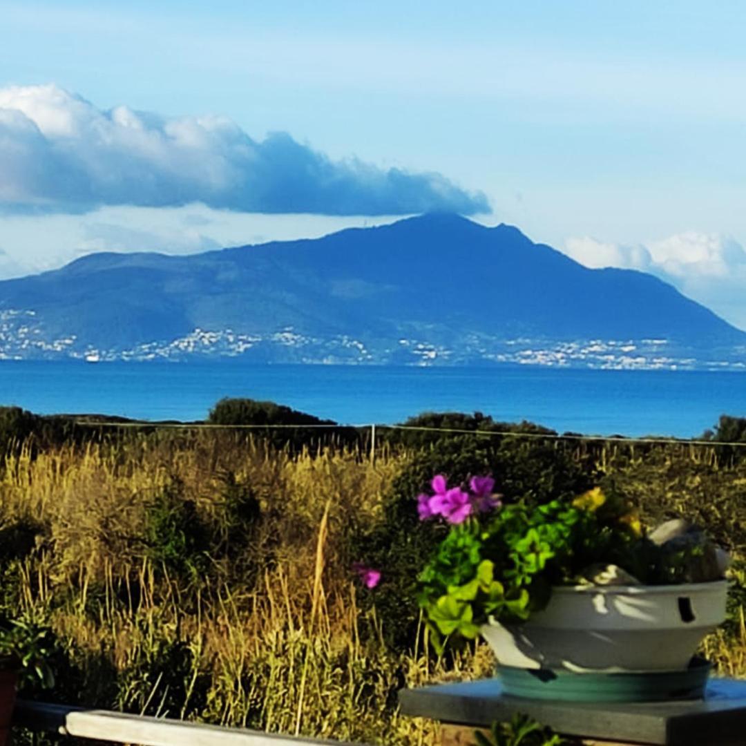 Holiday home Genesia *